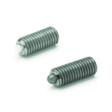 GN 616 - Stainless Steel-Spring plungers with steel bolt