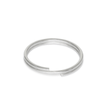 GN 111.3 - Key ring